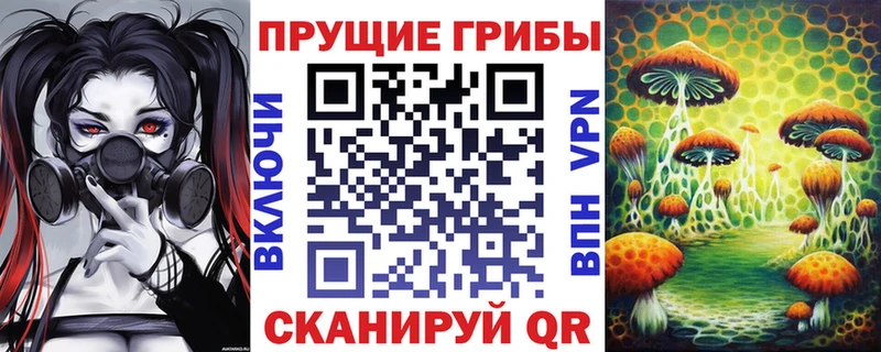Псилоцибиновые грибы Magic Shrooms  kraken рабочий сайт  Олонец  купить закладку 